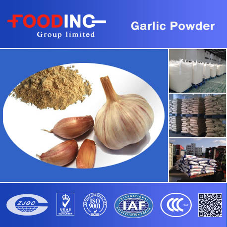Garlic Powder Manufacturer