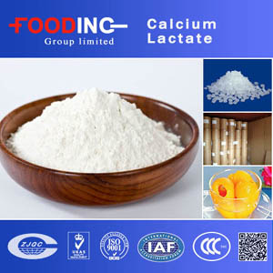 Calcium Lactate suppliers