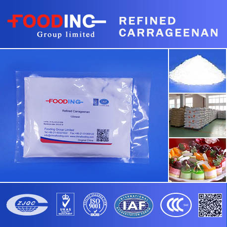 Food Additive Food Grade Kappa Carrageenan Powder - China Carrageenan, CAS  9000-07-1