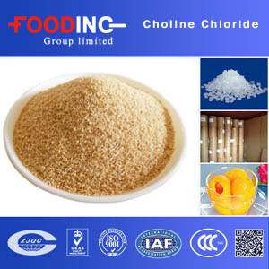 Choline Chloride Suppliers