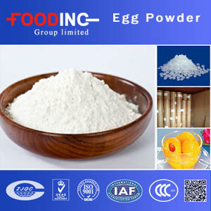 Egg White Powder Suppliers
