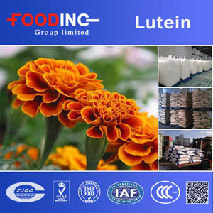 Inulin Powder Suppliers