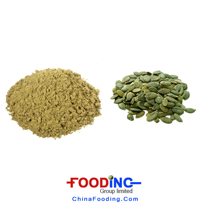 Pumpkin seed protein supplier