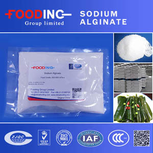 Sodium Alginate Powder Suppliers