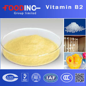 Vitamin B2 Manufacturers