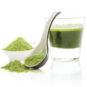 Matcha Powder Suppliers